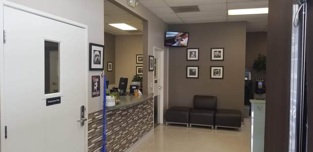 Images VCA Eye Clinic for Animals