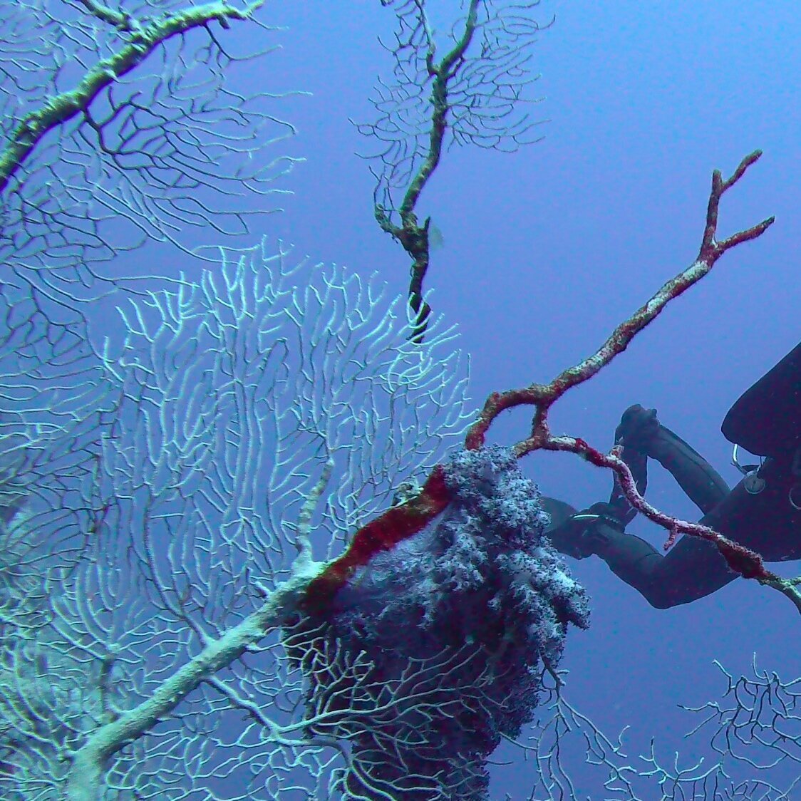 Tauchertreff-Mainz, Bodenheimer Straße 12 in Mainz