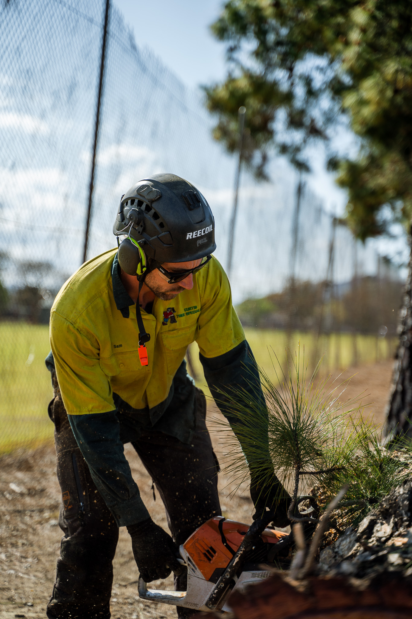 Images Curtis Tree Lopping Specialists