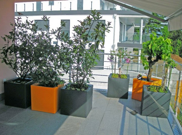 Gärtnerei Balzer AG, Hofenstrasse 22 in Männedorf