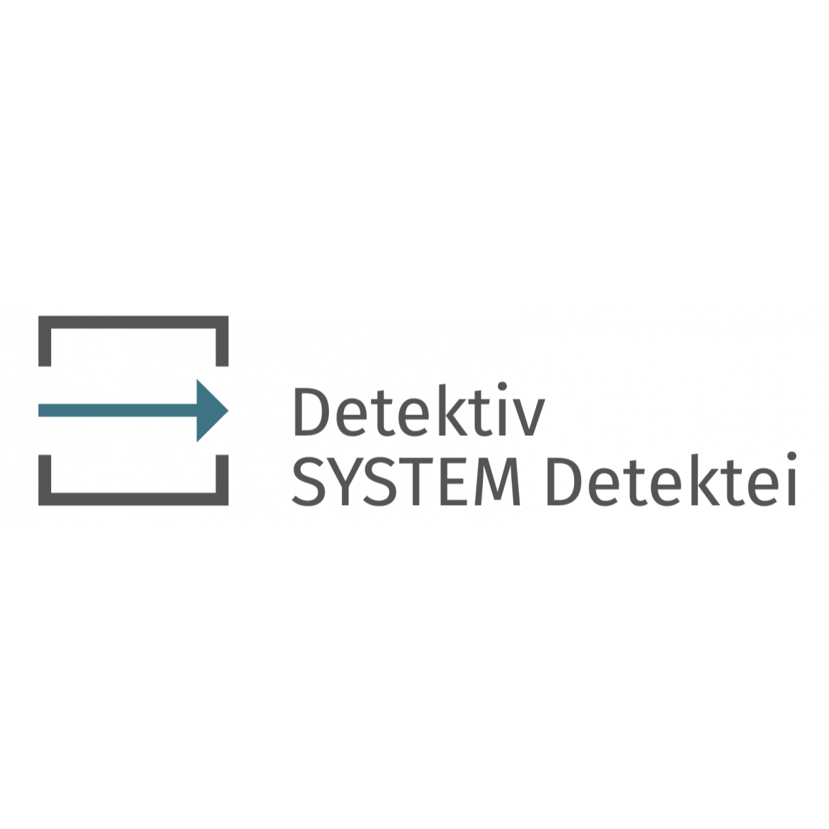 Logo Detektiv SYSTEM Detektei ®