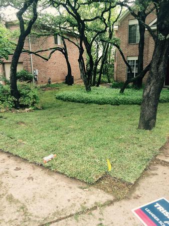 Images Zilker Landscaping