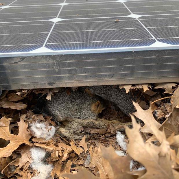 Images Solar Service