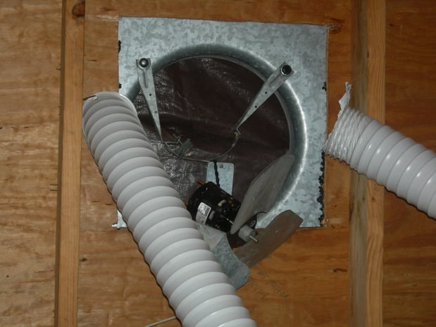 Images Covenant Wildlife