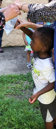 Images Teeter Toddler