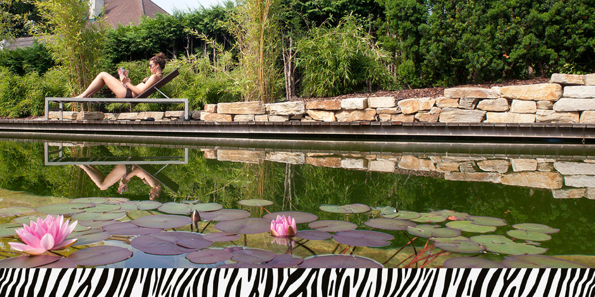 Bilder Zebra AG Garten & Pool