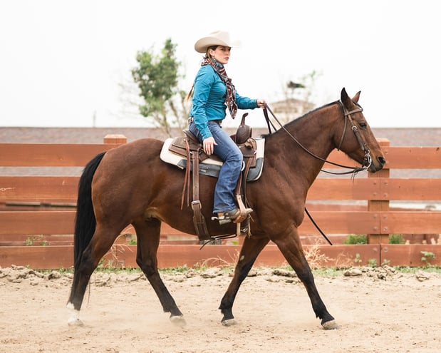 Images Equine Coach, LLC