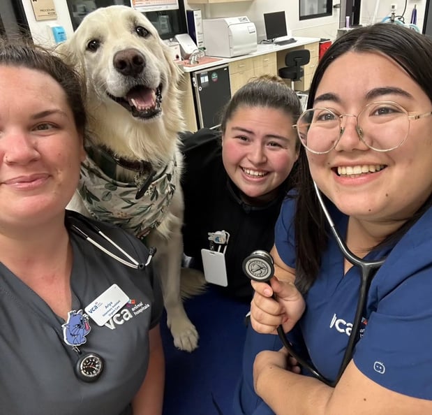 Images VCA Animal Hospitals Urgent Care - Mira Mesa