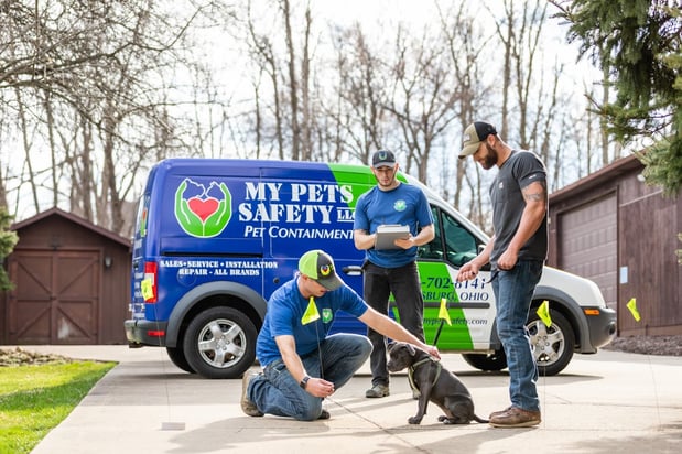 Images My Pets Safety