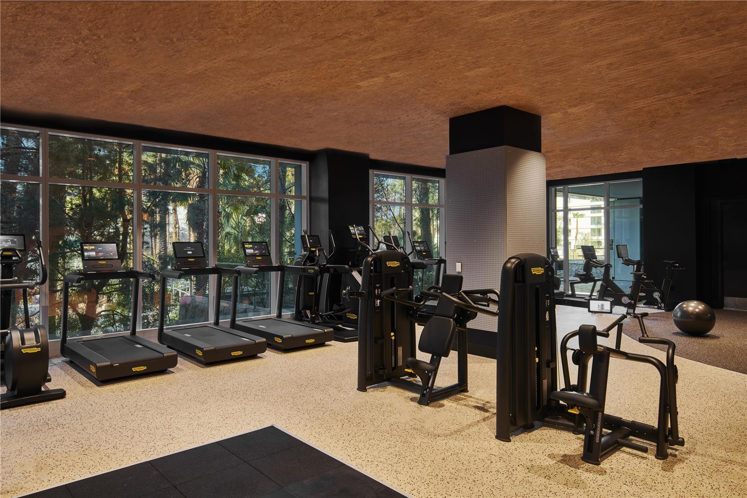 Health club  fitness center  gym