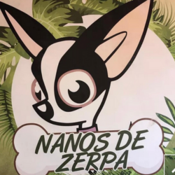 Nanos de Zerpa Logo