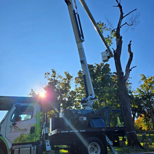 Images Friendly Tree Service Inc