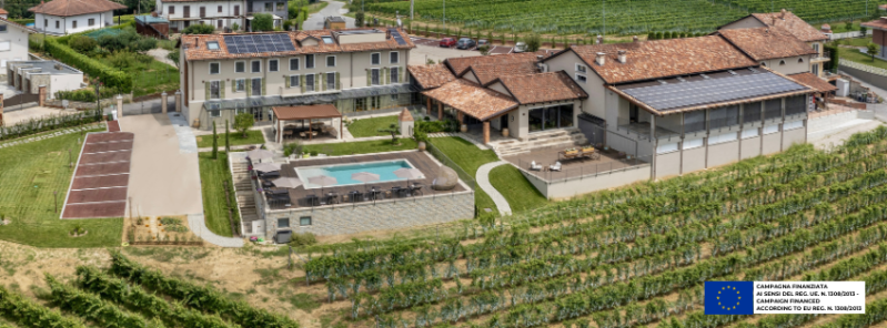 Images Dosio Vigneti