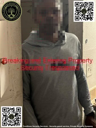 Images TreeStone Security Services
