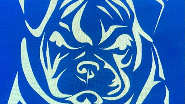Images Bulldog Roofing