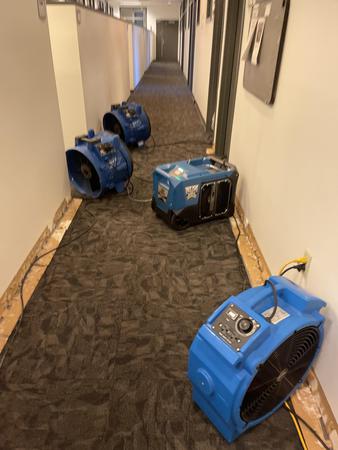 Images Bulldog Cleaning & Restoration