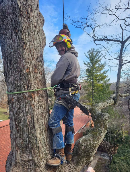 Images Hudson Tree Service