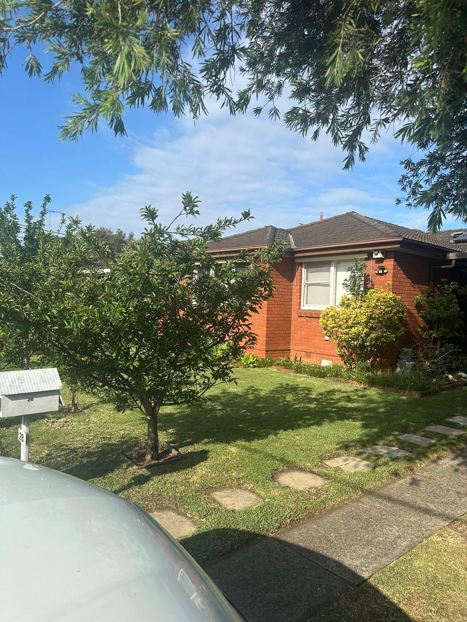 Images GN Lawn Care Services