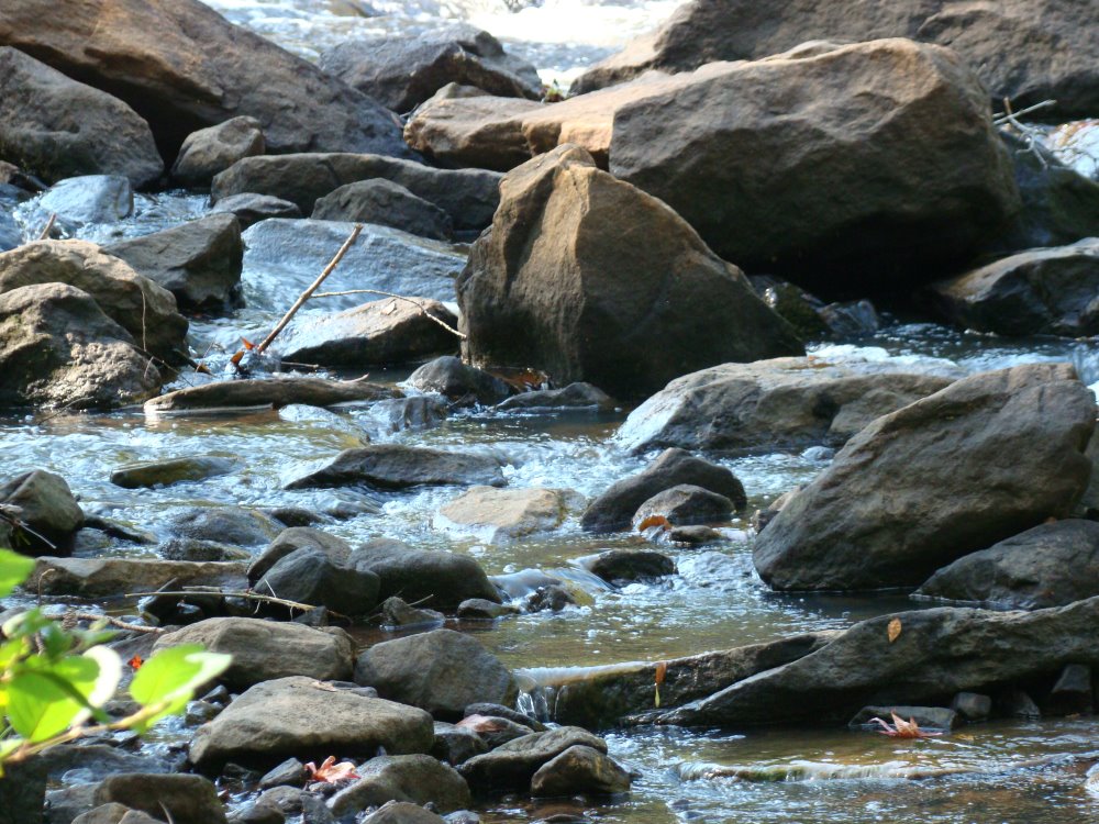 Bestattungsdienst Hedy Linder-Walther AG, Zieglerstrasse 26 in Bern