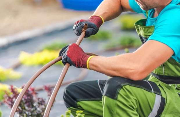 Images Lake Area Tree Removal & Services