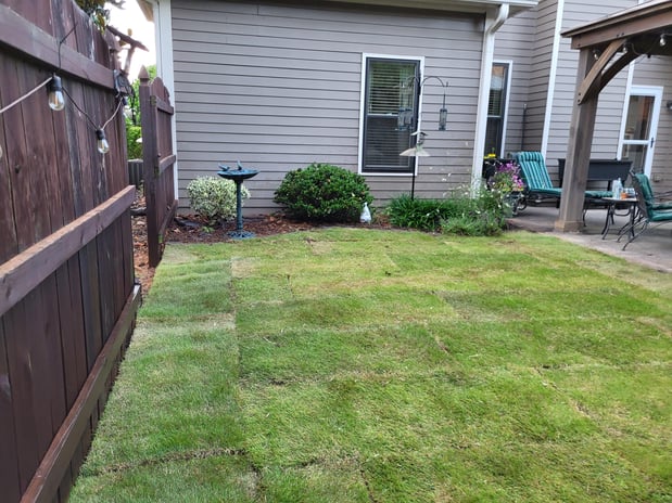 Images Lopez Tree Services and Landscaping