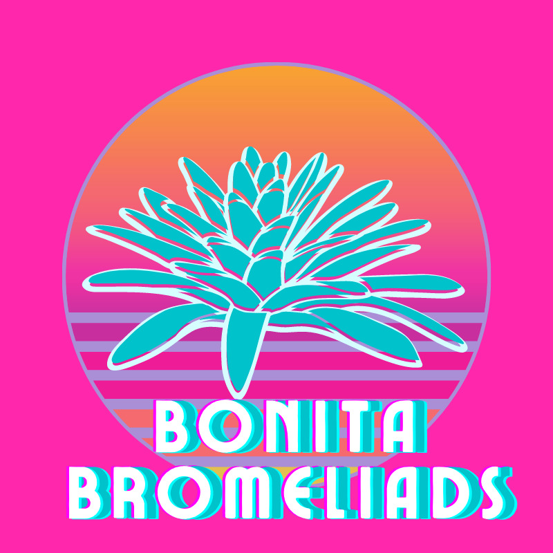 Bonita Bromeliads
