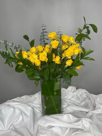 Images Bellisima Fiore