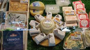 Images Agricola Saccheggiana