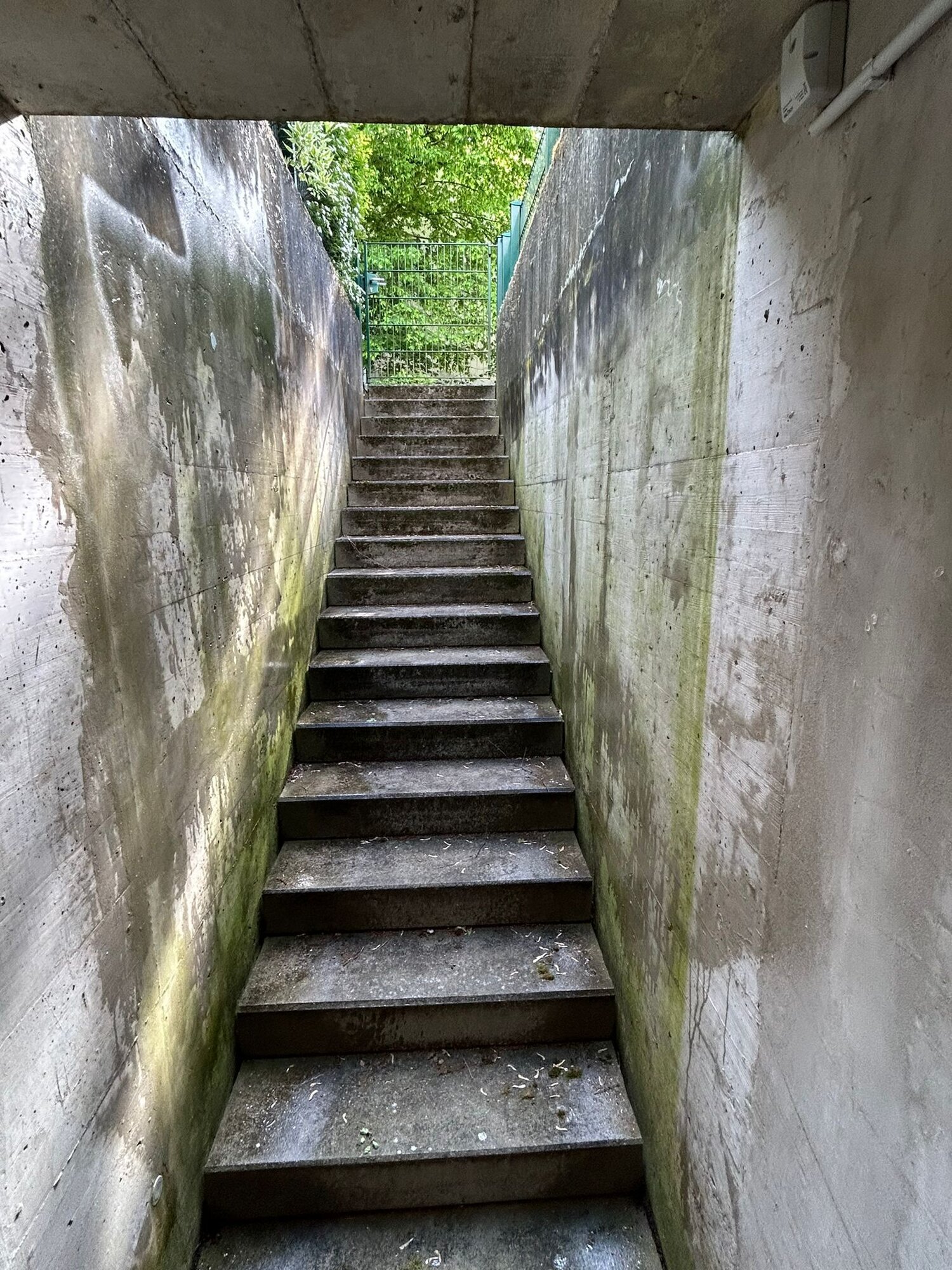 Bilder Fassaden Sauber OHG