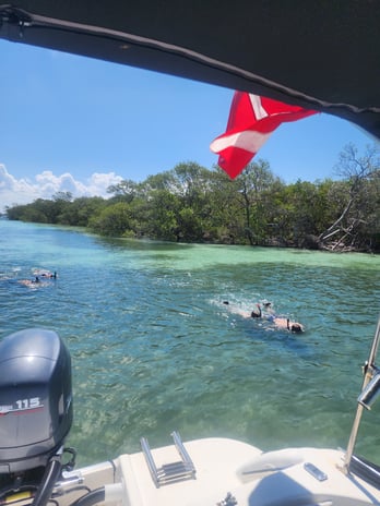 Images Island Boat Tours & Adventures