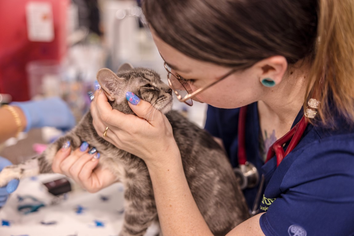 Hill Top Animal Hospital Image