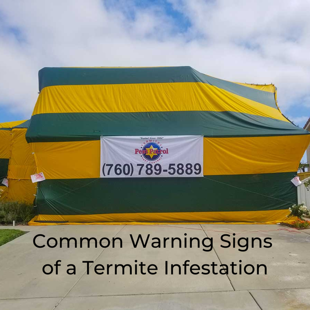 Images Pest Patrol, Inc.