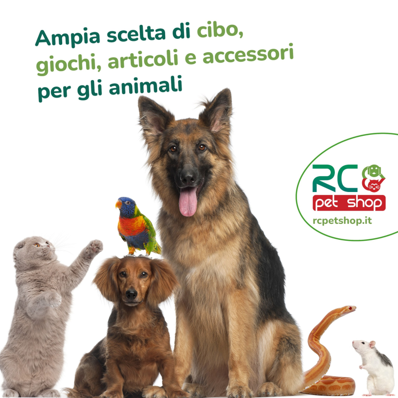 Images RC Pet Shop Lanciano