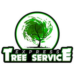 Express Tree Service