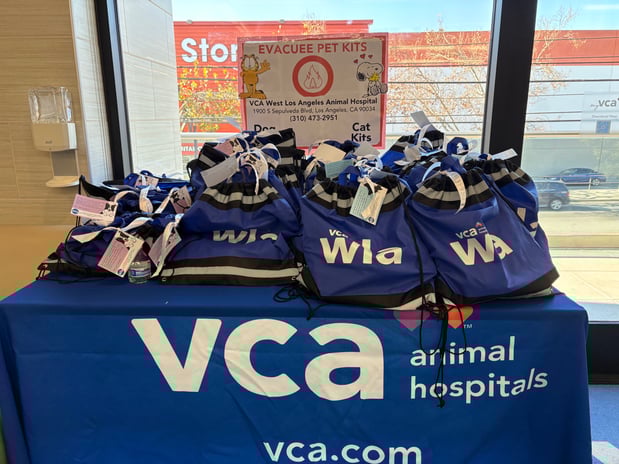 Images VCA West Los Angeles Animal Hospital
