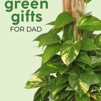 Images City Florist & Gift Shop