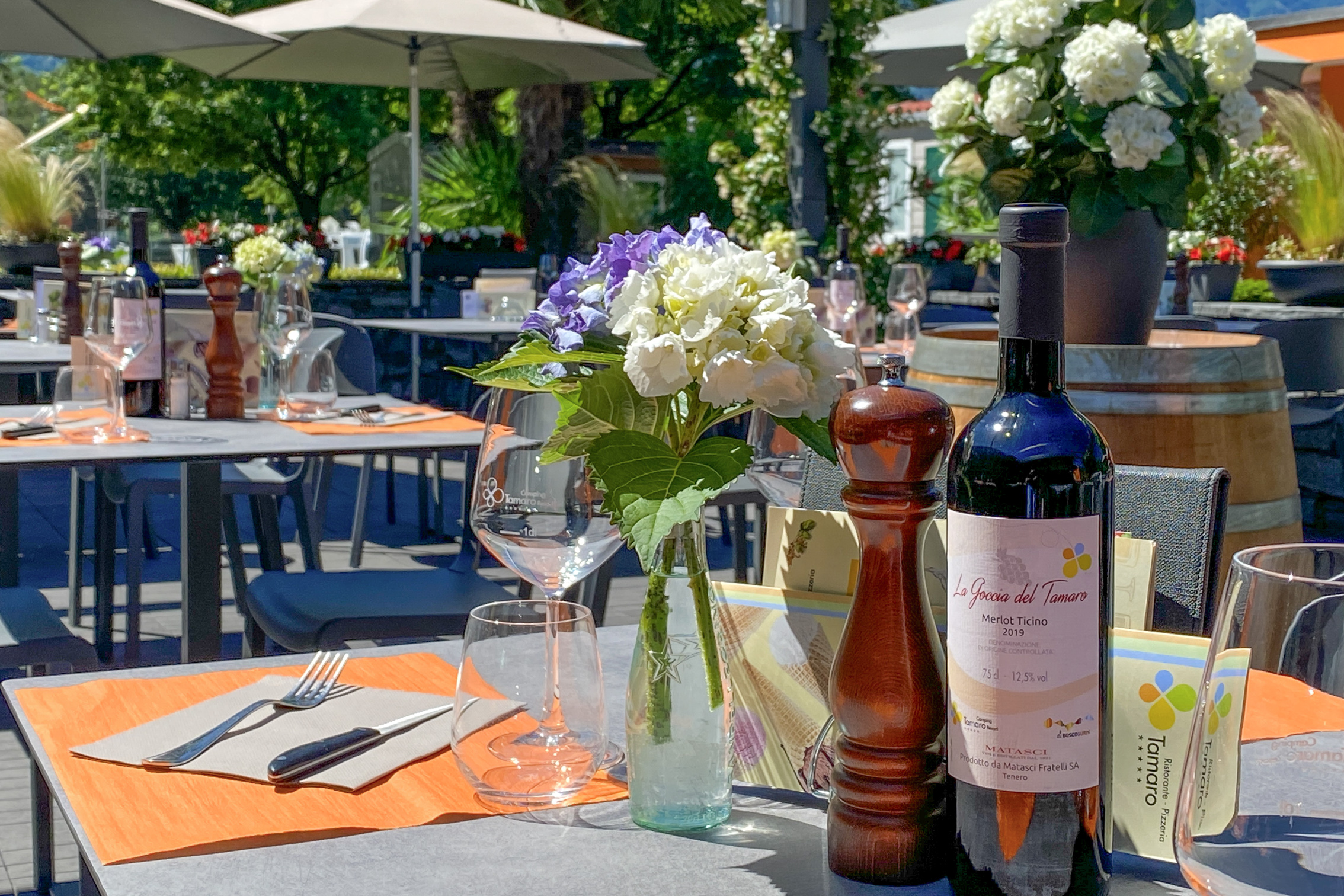 Bilder Ristorante Pizzeria Tamaro