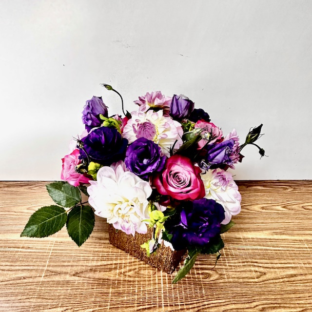 Images Jane's Roses & Flowers