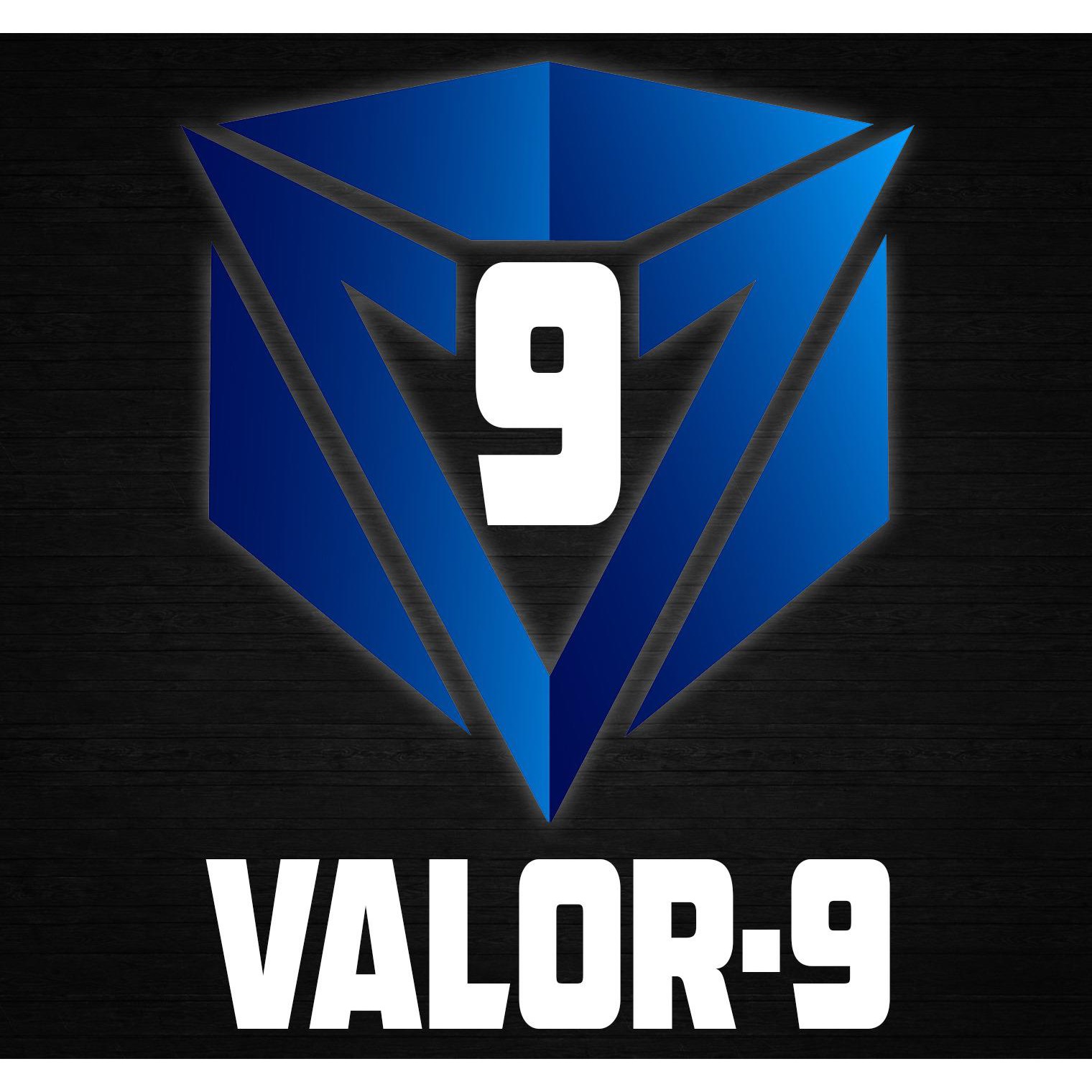 Valor-9 Logo