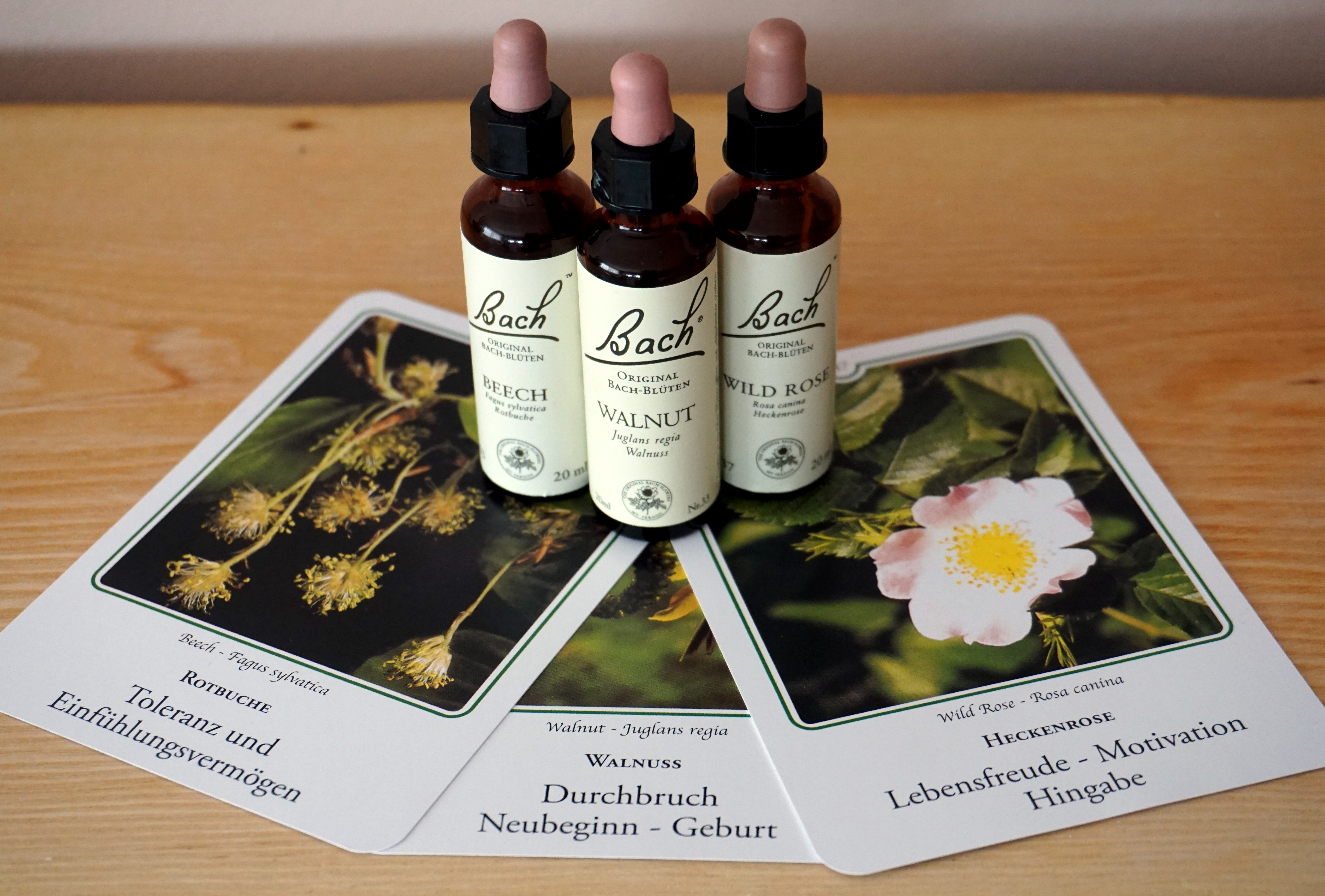 Bild 3 von Dunja Bösch, DauSin - Balsam für Körper und Seele