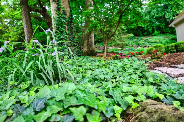 Images Oakwood Lawn & Landscaping