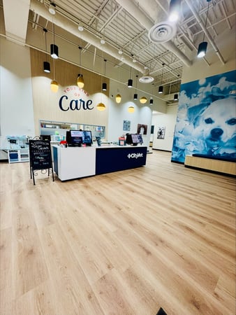 Images CityVet | Lake Worth