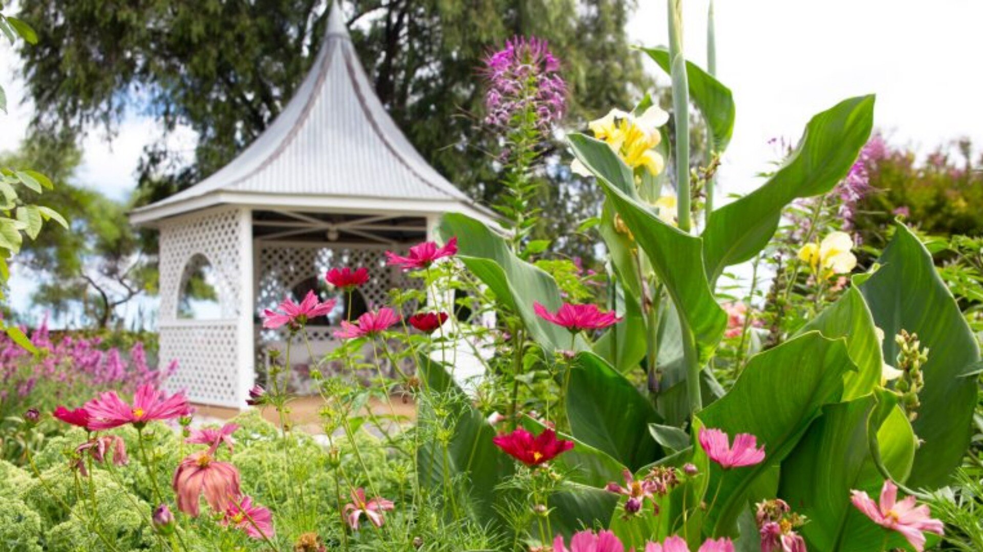 Images West Coast Funerals