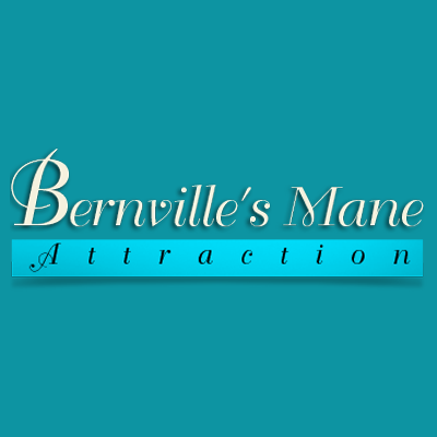 Bernville's Mane Attraction Logo
