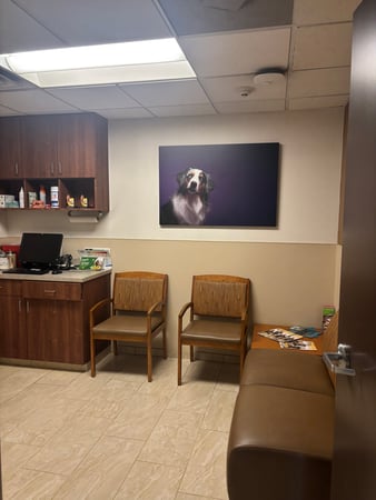 Images VCA Kingwood Animal Hospital