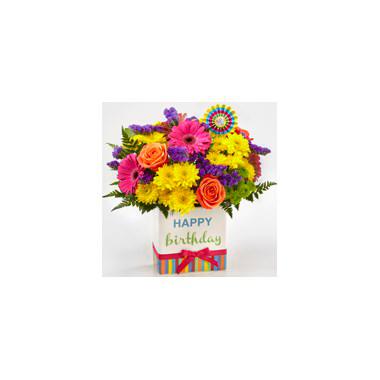 The Birthday Brights Bouquet is a true celebration of color and life to surprise and delight your special recipient on their big day! Hot pink gerbera daisies and orange roses take center stage surrounded by purple statice, yellow cushion poms, green button poms, and lush greens to create party perfect birthday display.