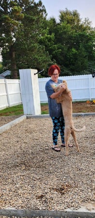 Images Dragonfly Dog Grooming LLC