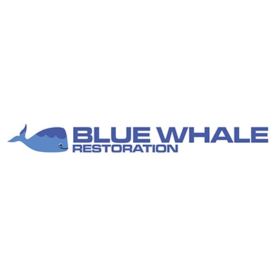 Blue Whale Restoration
