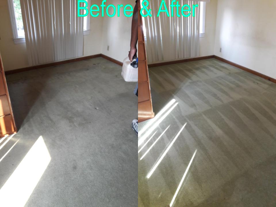 Able Body Carpet & Restoration Photo