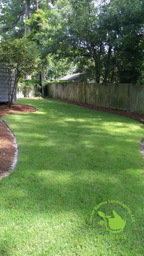 Javier Ramos Landscaping Llc, Landscaping Services In Columbia Sc